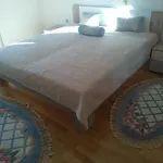 Apartment Tim Zadar
